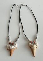 Kette mit grossen Haifischzahn