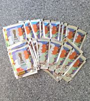 Panini FIFA WM 2026 United Edition