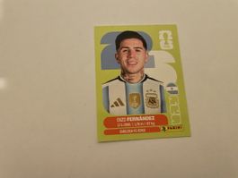 FIFA WM 2026 Enzo Fernández ARG 8