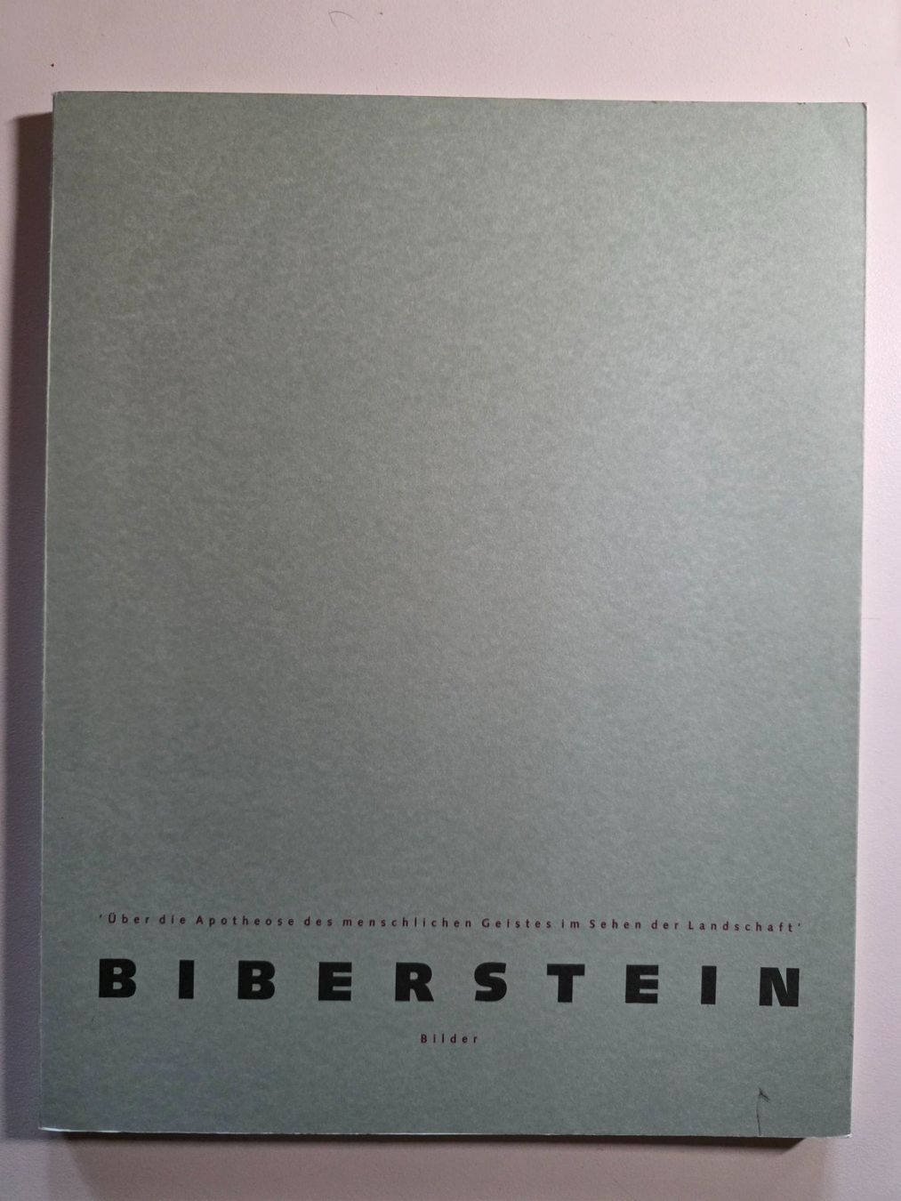 Libri: Michael Biberstein - Bilder Buch Kunst 1/1000 – Usato da Walterswil BE venduto da Lonitti