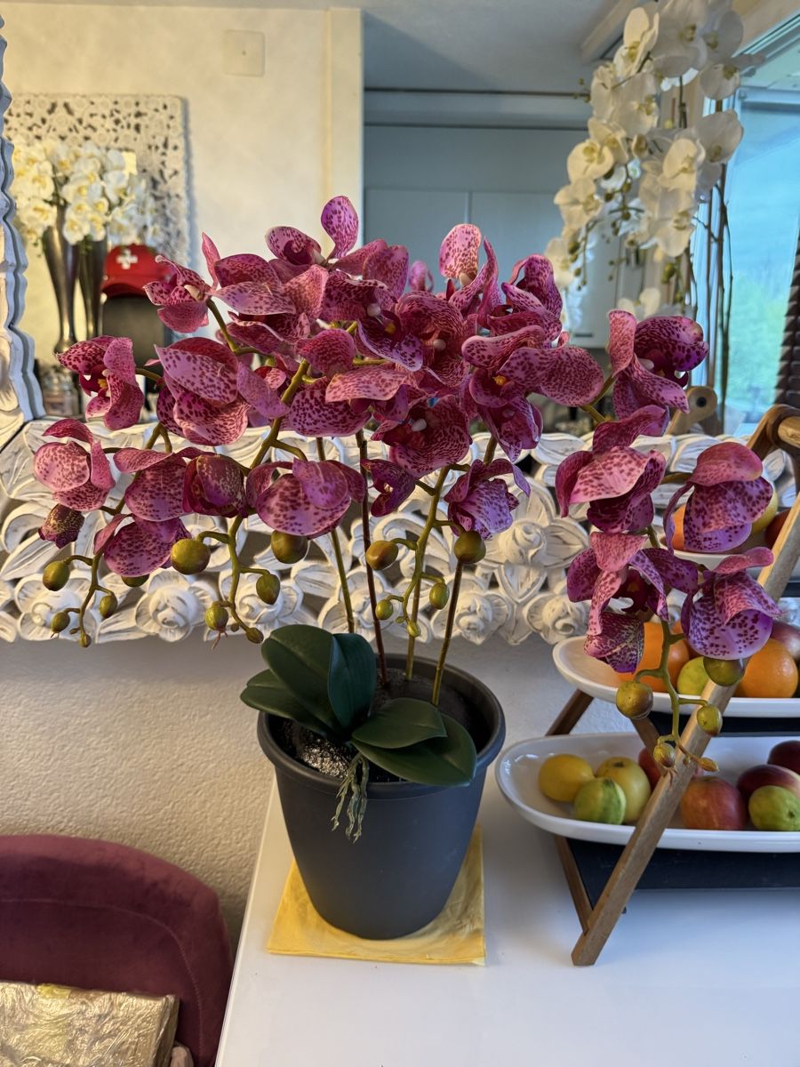 Tutte le decorazioni: Künstliche Orchideen lilac New – Nuovo (secondo la descrizione) da Zürich venduto da Privat4444 3