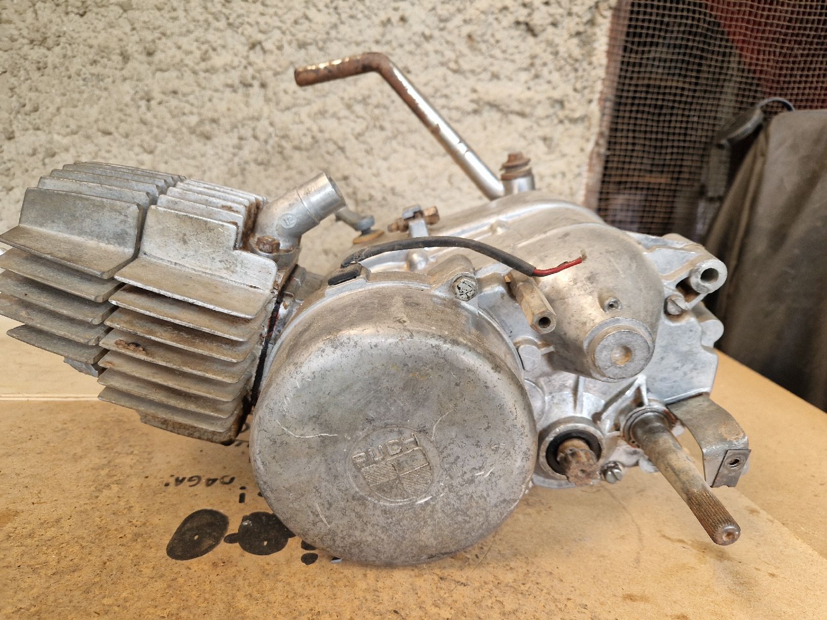Puch Mofas: Motore Puch 4 marce – Gebraucht aus Breno von BorioliD