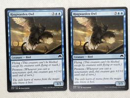 2x Ringwarden Owl Magic Karte guter Zustand