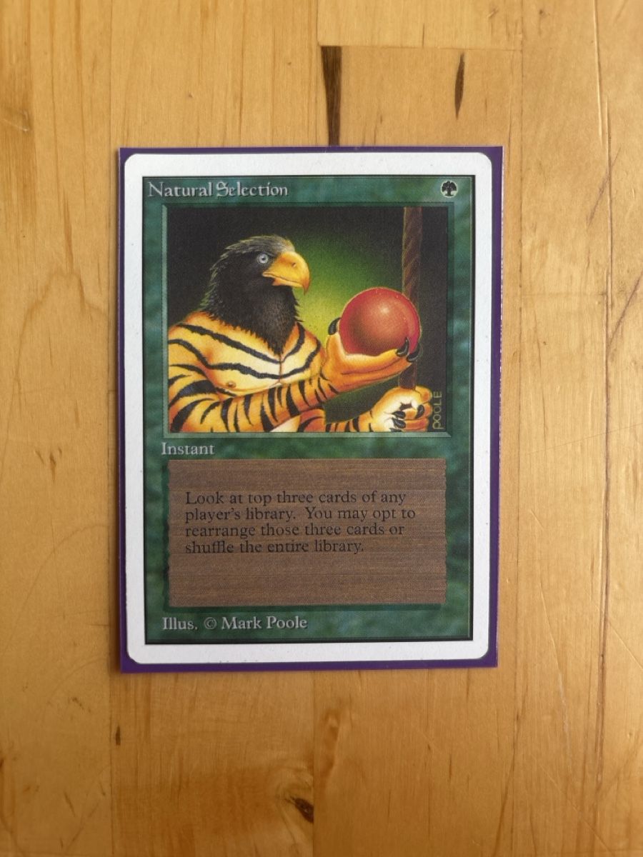 Karten: Magic the Gathering Natural Selection  – Gebraucht aus Bremgarten AG von pat_nb6g