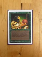 Magic the Gathering Natural Selection 