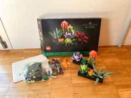 LEGO BOTANICAL SUKKULENTEN (10309)