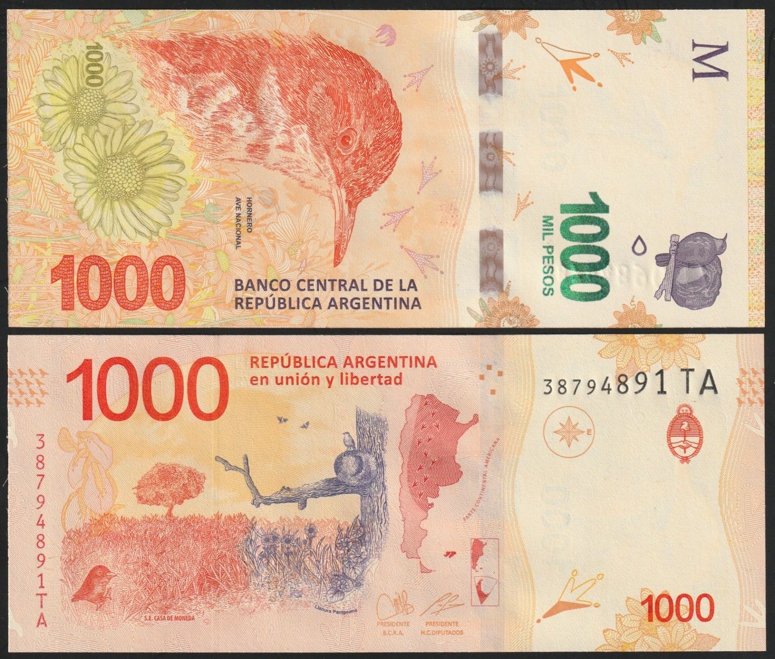 Banknoten: Argentinien 1000 Pesos UNC (2017) – Neu (gemäss Beschreibung) aus Naters von Radman
