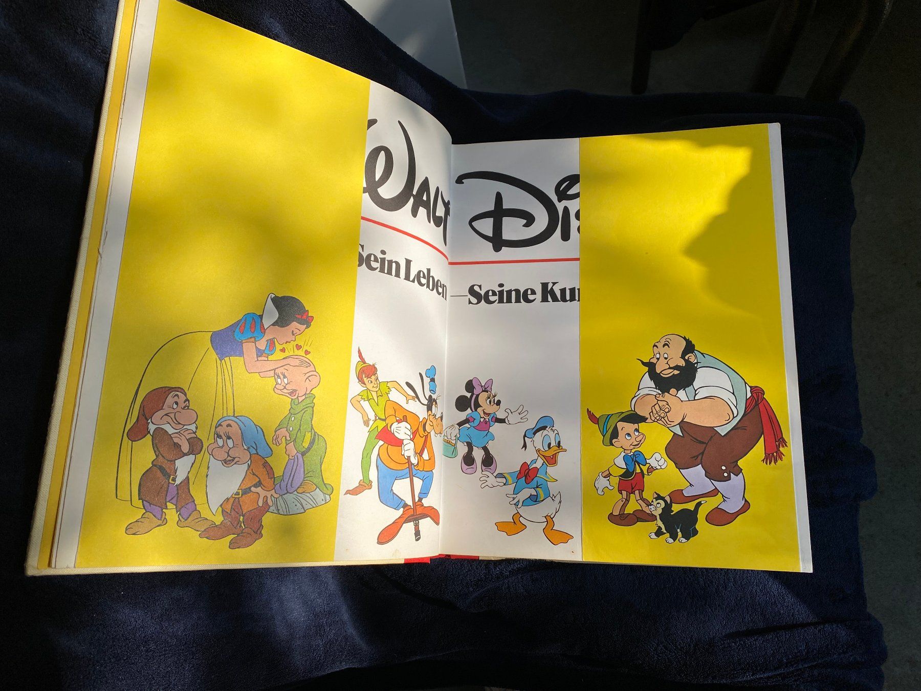 Libri: Walt Disney Sein Leben Seine Kunst – Usato da Zürich venduto da Pyramid1 2