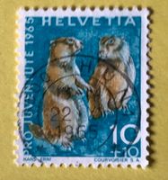 Nr.J 211 GESTEMPELT Alpenmurmeltier 1965 Thun