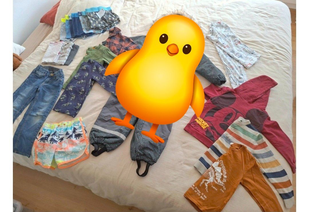Kleiderpakete & -sets: 🦊Kleiderpaket Jungs 110 – Gebraucht aus Schaffhausen von ricmivo 5