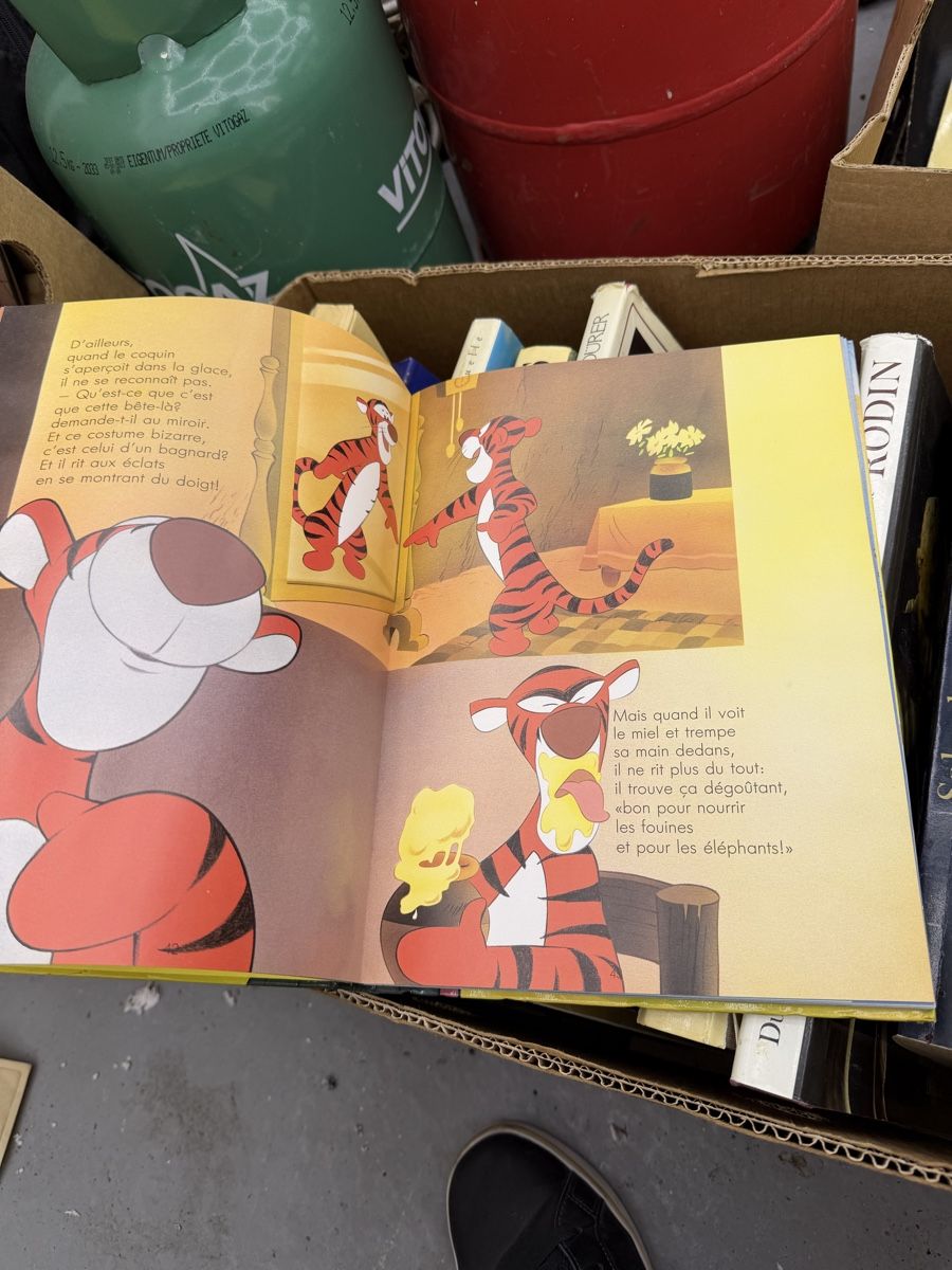 Comics: Winnie l‘Ourson – Gebraucht aus Wettingen von NickInc 4