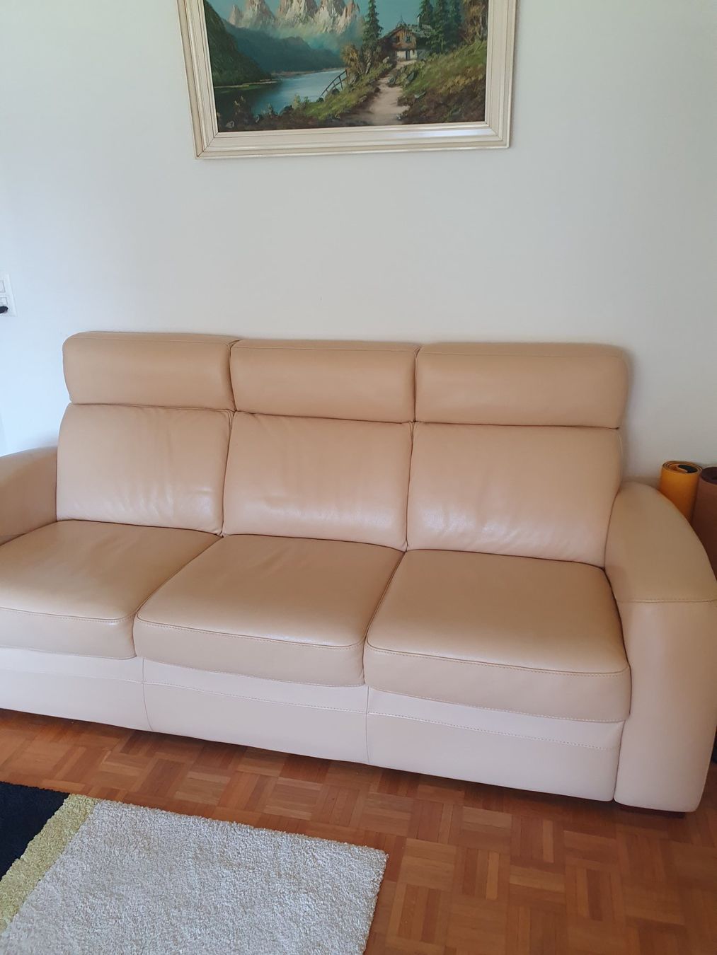 Divani: Leder Sofa – Usato da Oberrieden venduto da pavlos2000pavlos
