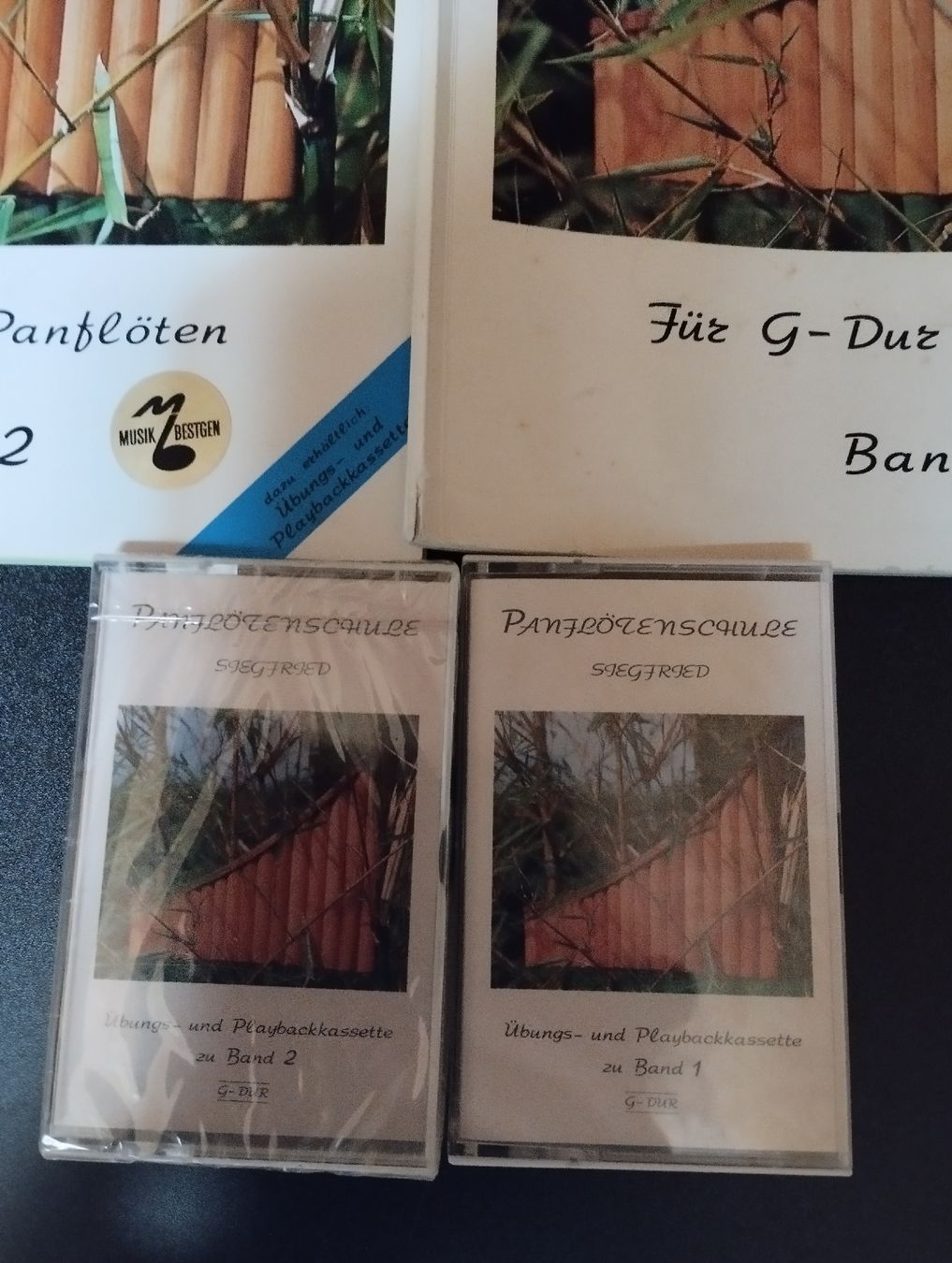 Bücher: Panflöte Lehrmittel – Gebraucht aus Ostermundigen von Dinge1 3