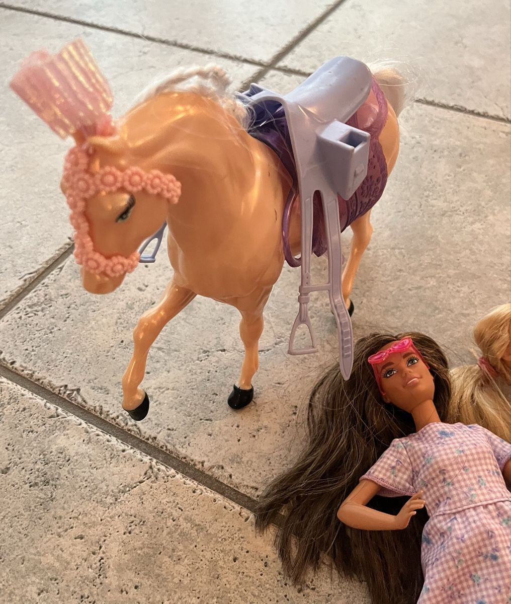 Giocattoli: Grosses Barbiepaket – Usato da Suhr venduto da rugeli02 2