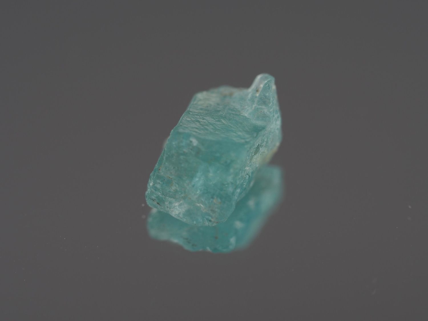 Pietre preziose: Ab 1CHF - Apatite (1 Rohstein) 2.73ct – Nuovo e nell'imballaggio originale da Buchs SG venduto da OTNaturalGems 9