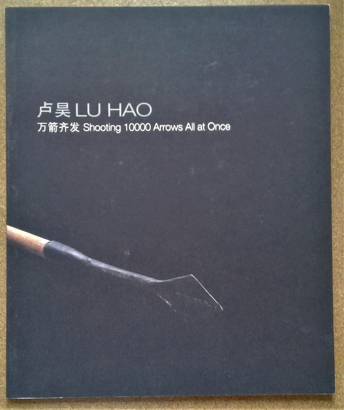 Livres: Lu Hao Shooting 10000 Arrows All at Once – Neuf (Voir description) à Lausanne par LasloH