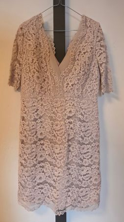 REISS Spitzenkleid, rosé/beige, Gr. 42 – elegant & gefüttert