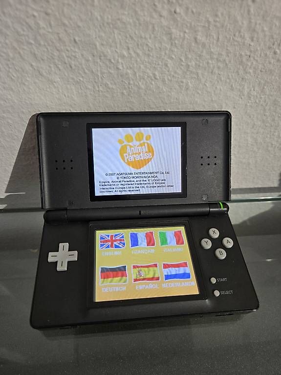 Console: Nintendo DS Lite – Usato da Nussbaumen AG venduto da ong_rgq2 2
