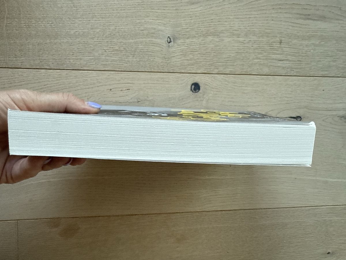 Bücher: Roman Nine Gorman "Ashes falling for the sky" comme neuf! – Neu (gemäss Beschreibung) aus Zürich von Irassa 3