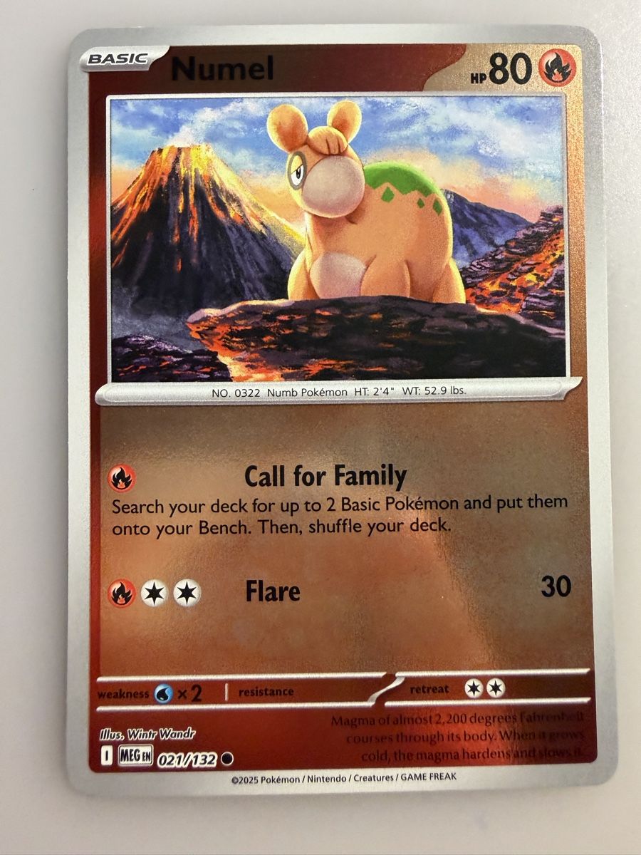 Pokémon Sammelbilder & Trading cards: Numel (MEG021) – Neu (gemäss Beschreibung) aus Vevey von Matx