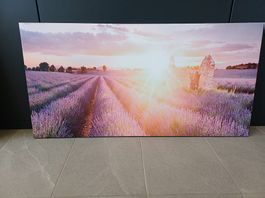 Tableau Provence 