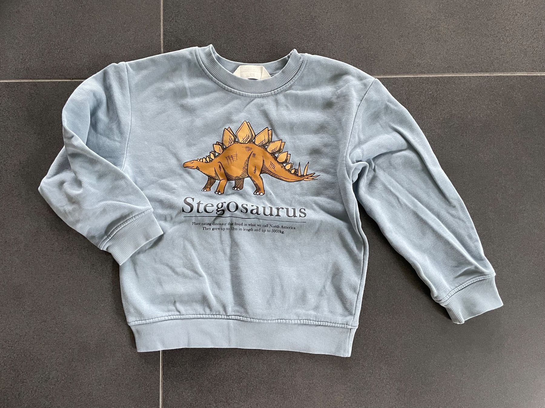 H&M Pulls et sweat-shirts: Dino Pullover / Sweatshirt Gr. 110/116 H&M – D'occasion à Aesch ZH par lawas