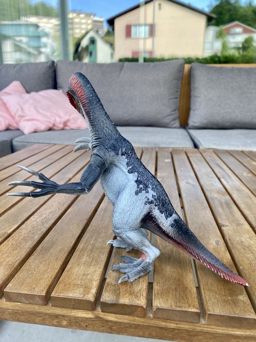 Spielzeuge: Dino – Neu (gemäss Beschreibung) aus Thalwil von val_bm5t 2