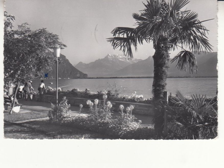 Cartoline postali: Montreux 1963 – Usato da Bürglen TG venduto da StampGraf