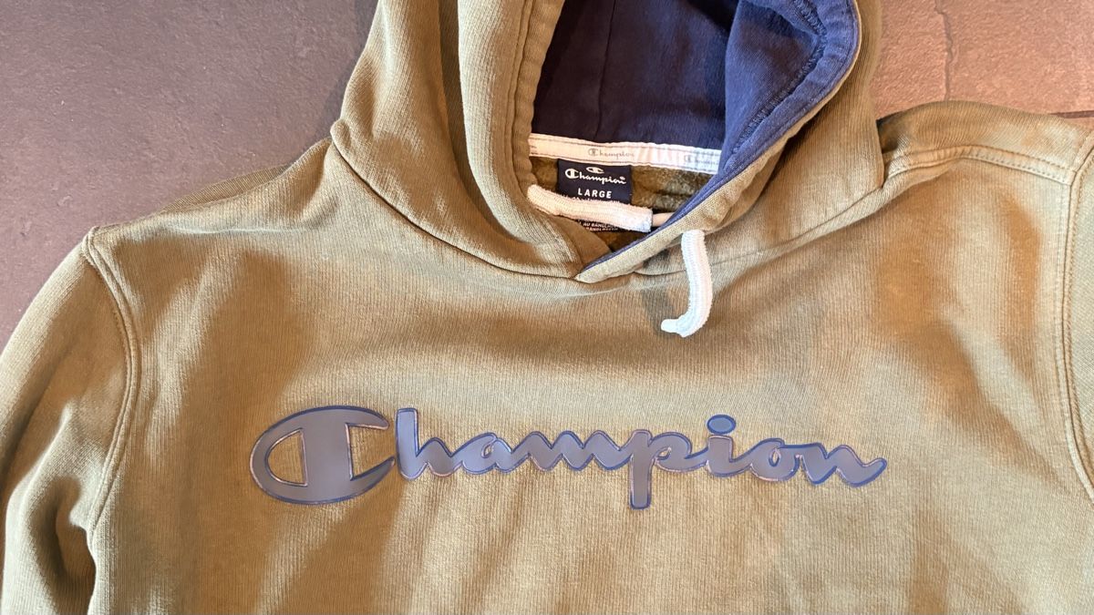 Champion Maglioni & Felpe: Champion Pullover Grösse L – Usato da Dübendorf venduto da kimi06_ 1