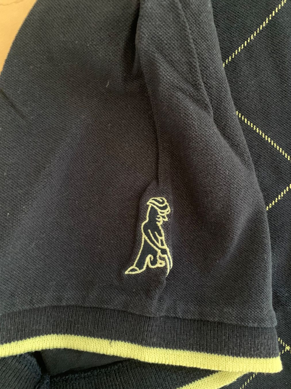 Magliette Polo: Ping Polo Golf Shirt – Usato da Ennetbaden venduto da usemiste 2