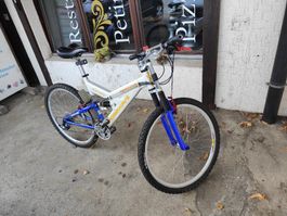 Mountainbike, Fahrrad