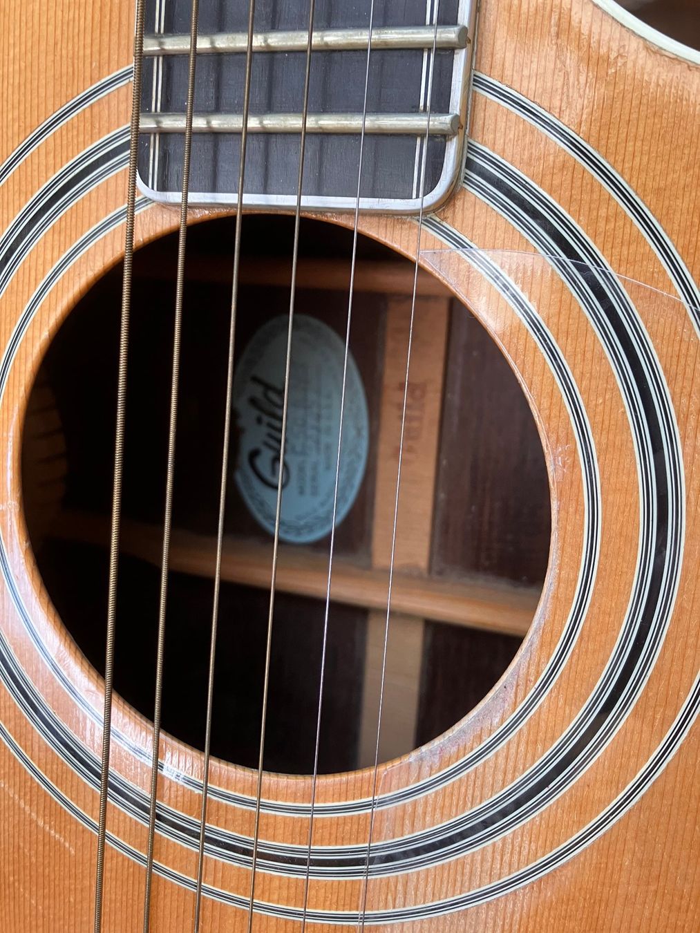 Guild Instruments de musique: Guild F-50R 1979 – D'occasion à Zofingen par bjmusic 1