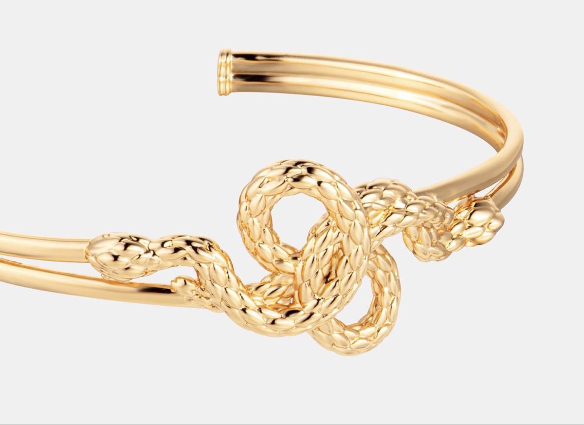 Roberto Cavalli Bracciali & Braccialetti: Just Cavalli Bangle – Nuovo e nell'imballaggio originale da Oberaach venduto da Dandy2021 1