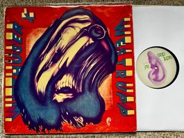 Witthüser + Westrupp – Trips + Träume - Kraut Rock ED1 LP🛀