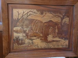 Schönes Leopard Bild