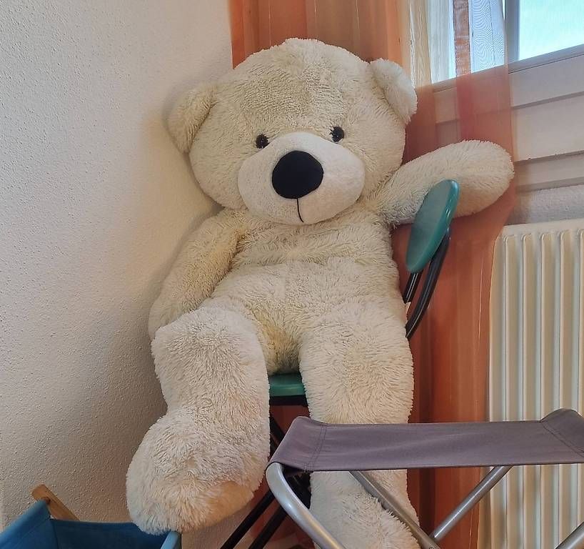 Spielzeuge: Ein Teddybär – Gebraucht aus Steffisburg von nat_zm6h