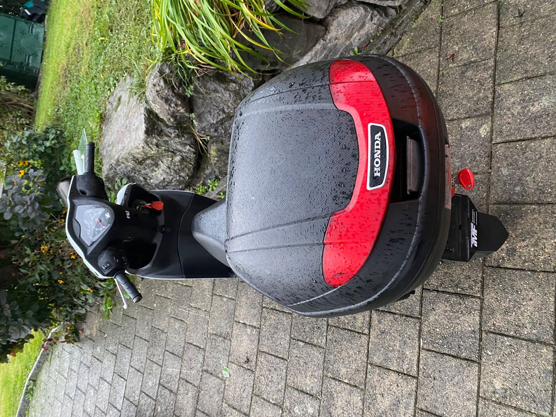 Honda Scooters: Honda NSC 110 – Defekt aus Oberriet SG von shanis 1