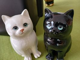 Schwarz/weiss- Pärchen - Katzen