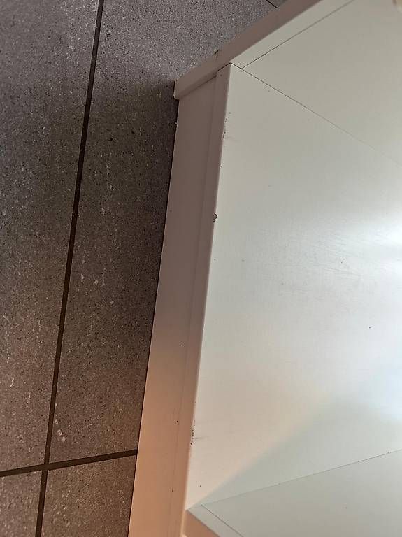 Scaffali: IKEA TROFAST Regal weiss CHF 30. – Usato da turbenthal venduto da spongi13 4