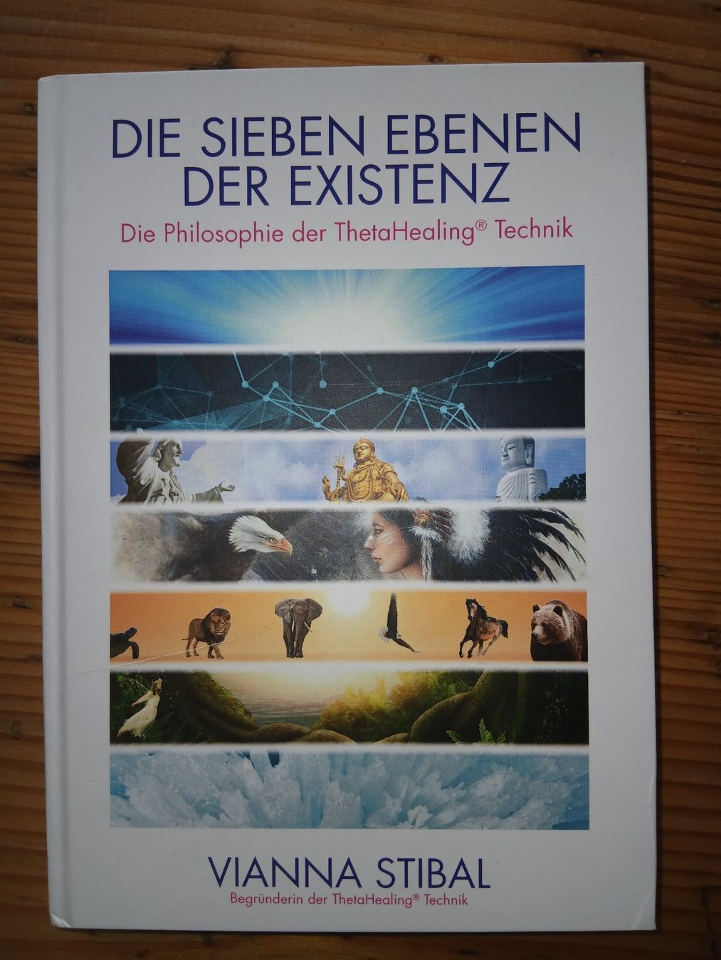 Livres: Die sieben Ebenen der Existenz - Vianna Stibal – D'occasion à Oberegg par hermosa