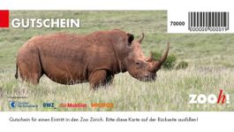 Zoo Zürich Gutschein, freier Eintritt!