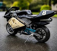 Wild Bull Pocketbike Racing  Sammlerstück & Hingucker 