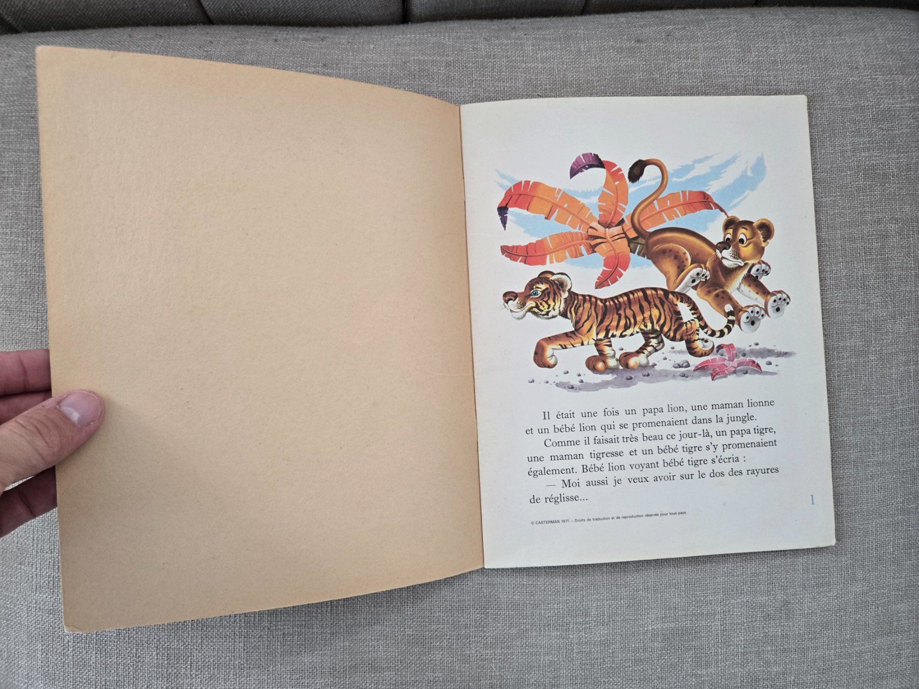 Libri: Histoire d'un bébé lion – Usato da Crémines venduto da Blakedrake 4