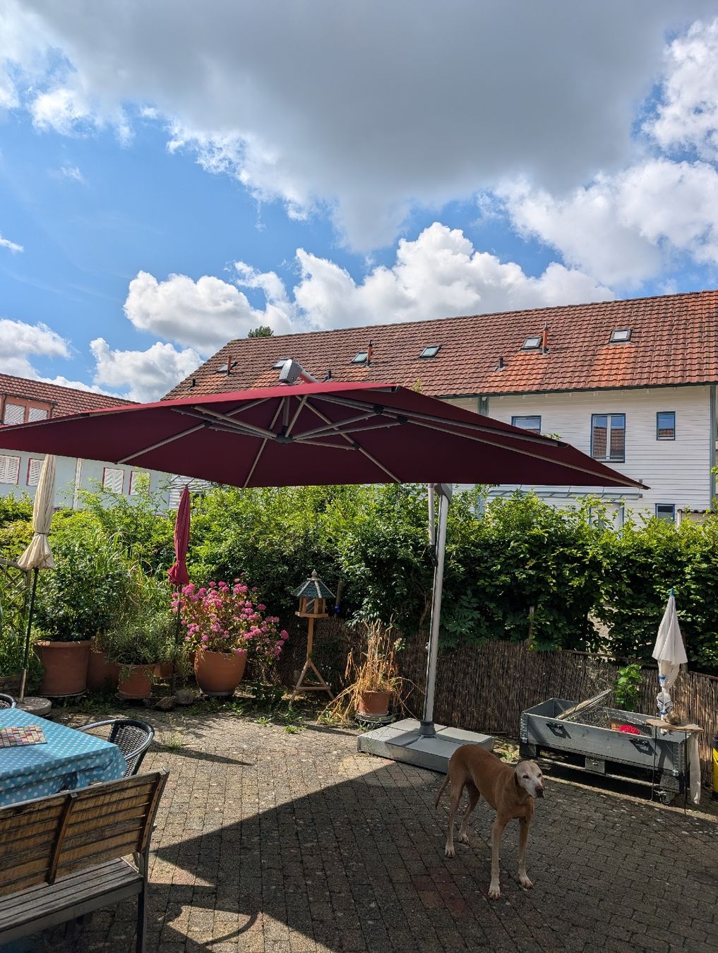 Glatz Parasols: Glatz Sonnenschirm Sobrano S+ mit Standfuss – D'occasion à Dietlikon par anbe64