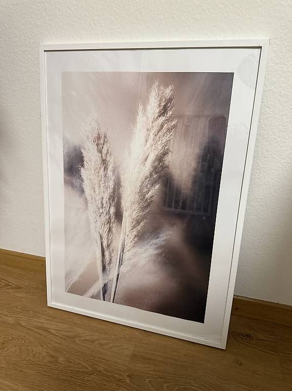 Posters & Illustrations: Gerahmte Wandbilder im Set – D'occasion à Winterthur par fij_f65r 4