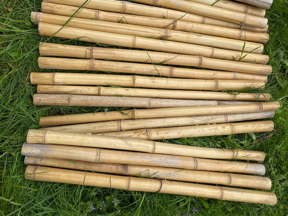 Bambusrohre (z.B. für Sichtschutz) Kaufen auf Ricardo