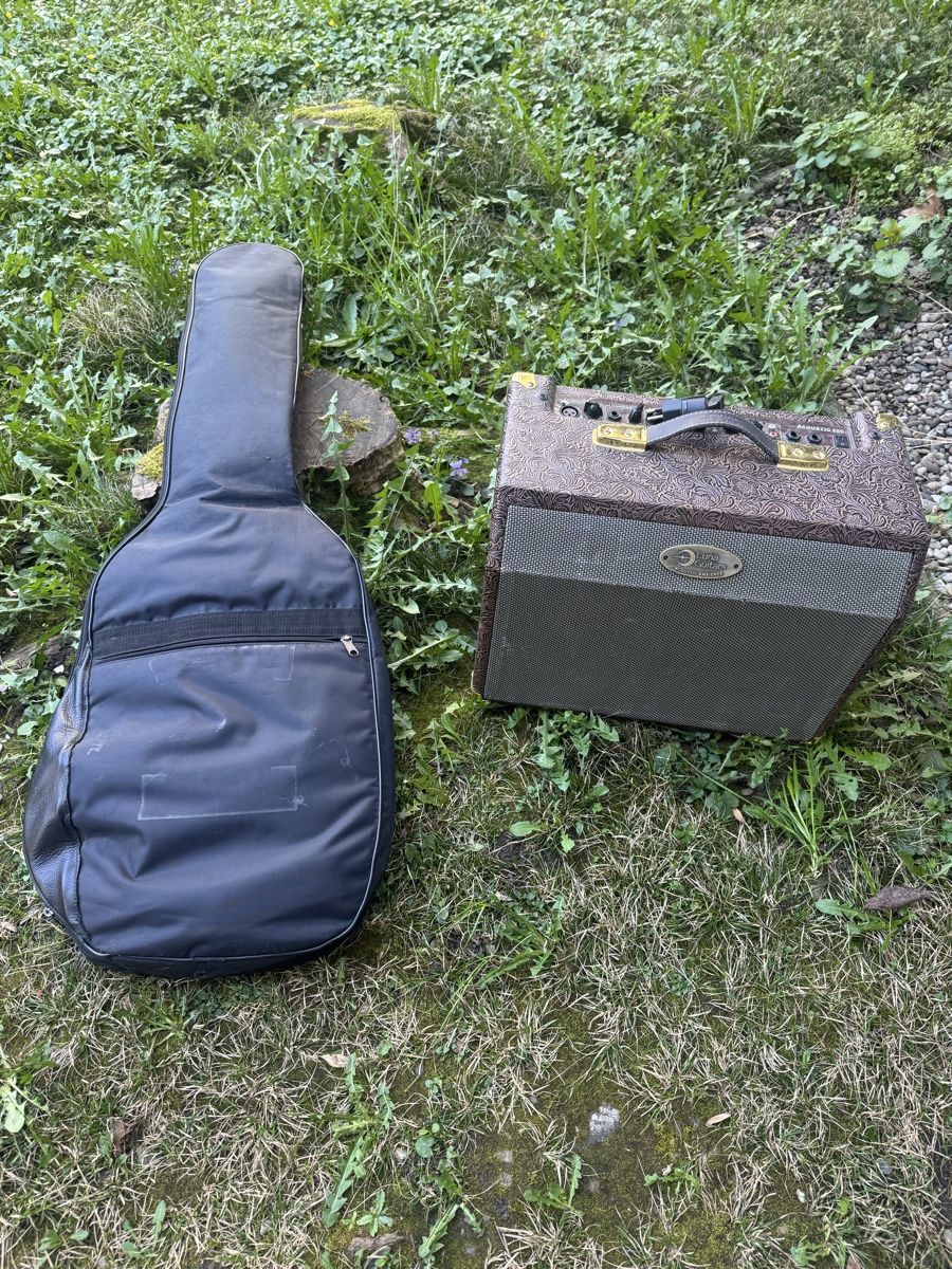 Strumenti musicali: Luna E-Guitar & used Amplifier – Nuovo (secondo la descrizione) da Basel venduto da ine_d8d5 1