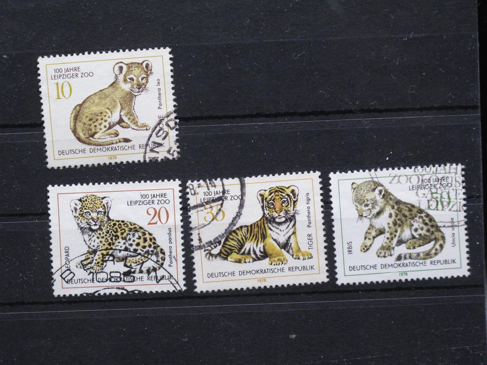 Tutti i francobolli: DDR 1978 Zoologischer Garten Leipzig gest. – Usato da Wil SG venduto da fva01