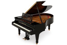 C. Bechstein Flügel - M-180 (1926), regelmässiger Service