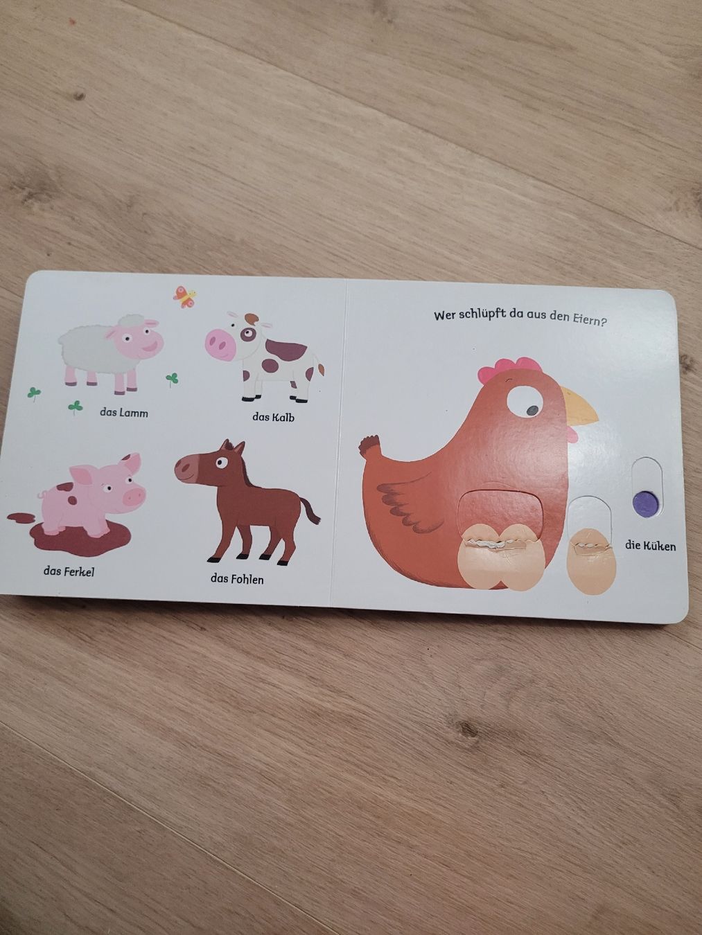 Livres: interaktives Buch Tierkinder 18 Monate – D'occasion à Lupsingen par sta_wgg5 3